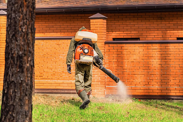 Trusted Bed Bug Control service in Monticello, IN - Nex Pest Control